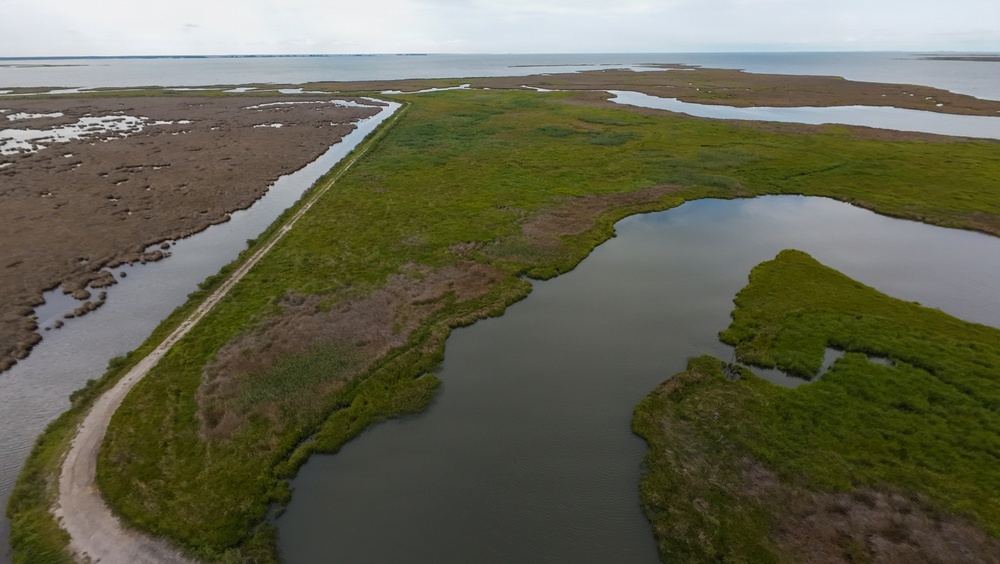 An eroding marsh gets a second chance — Maryland · July 2026