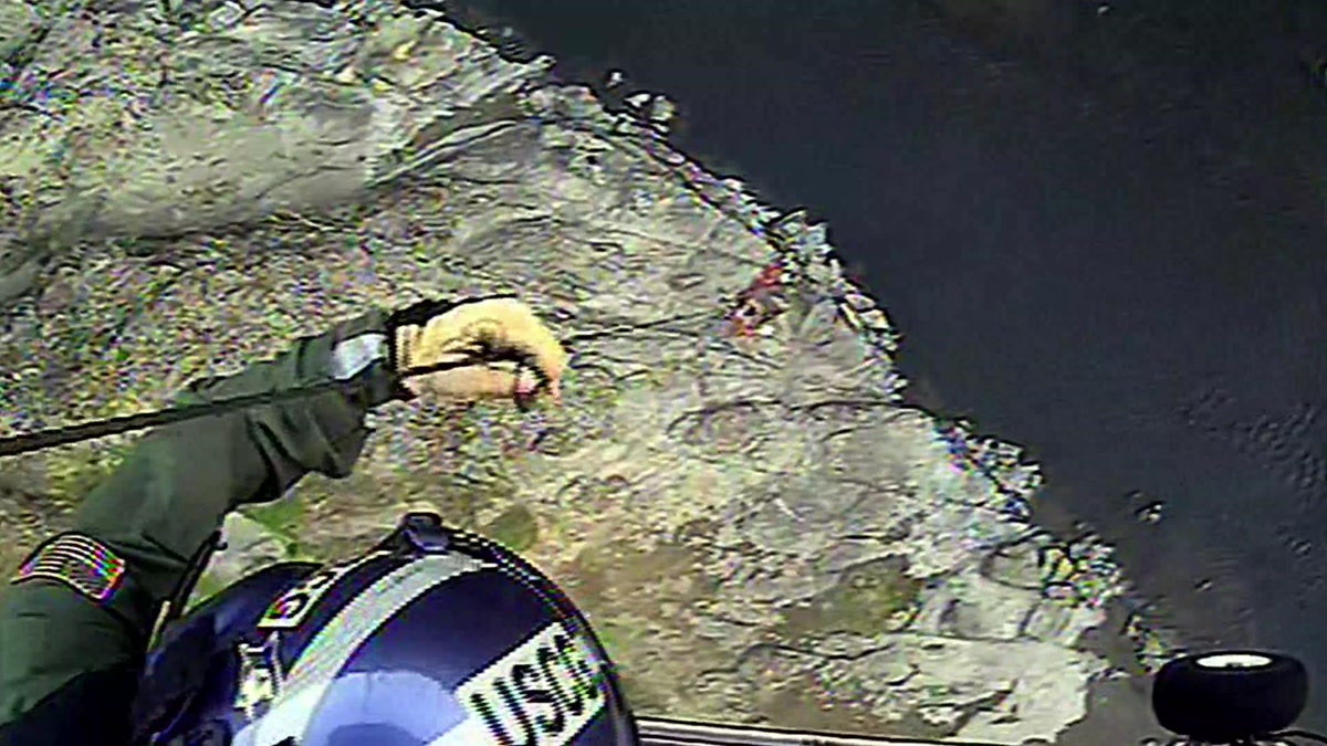 A Coast Guard rescue swimmer and injured rafter are hoisted from the Rogue River bank during the October 1 evacuation.